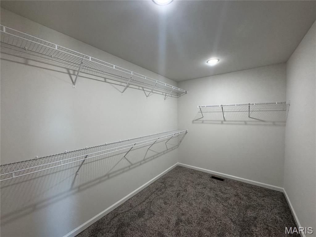 4 Alpine Drive Troy, MO 63379 - Photo 19 of 28