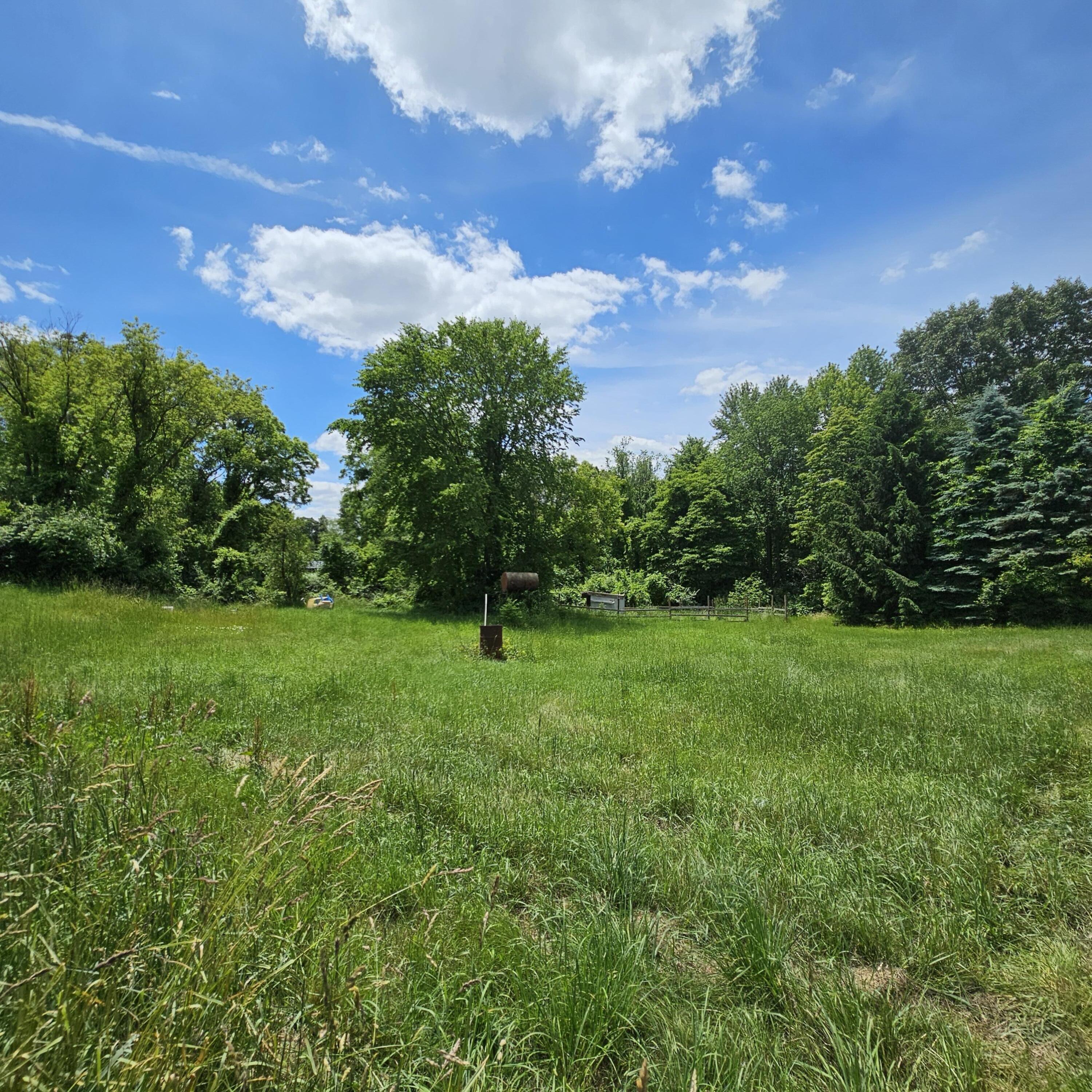 5237 Maple Lane Road Rives Junction, MI 49277 - Photo 7 of 10 20240611_131807