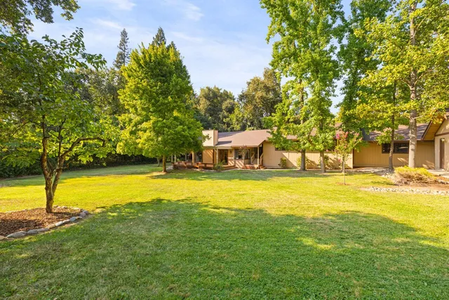 a view of a swimming pool with lawn chairs and plants