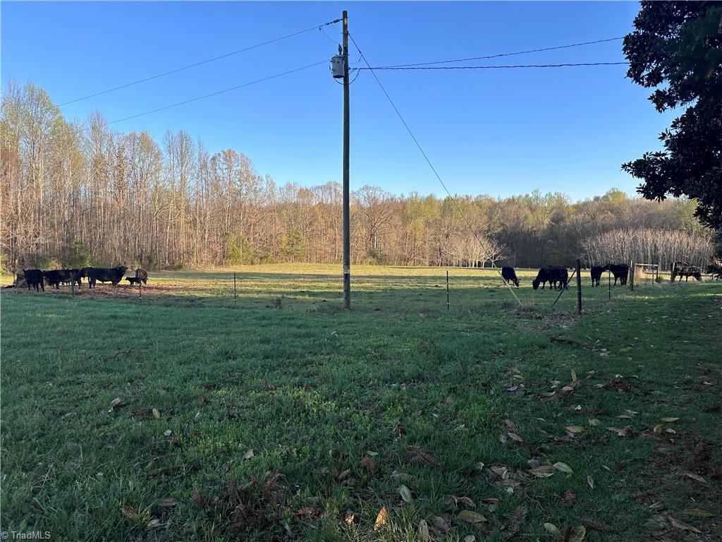 5618 Farmstead Road Seagrove, NC 27341 - Photo 5 of 34
