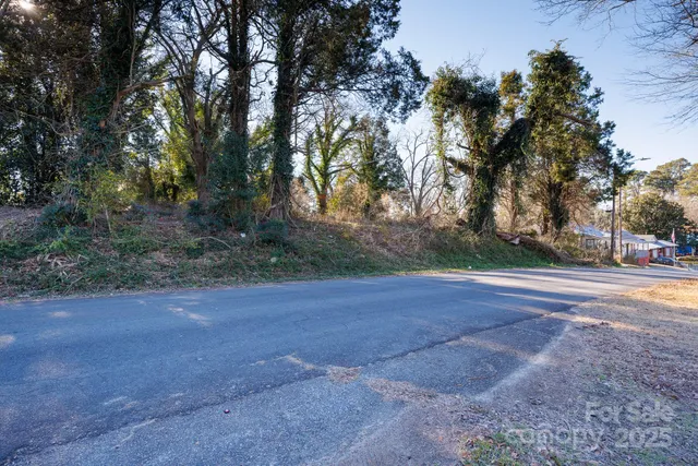 a view of backyard with green space