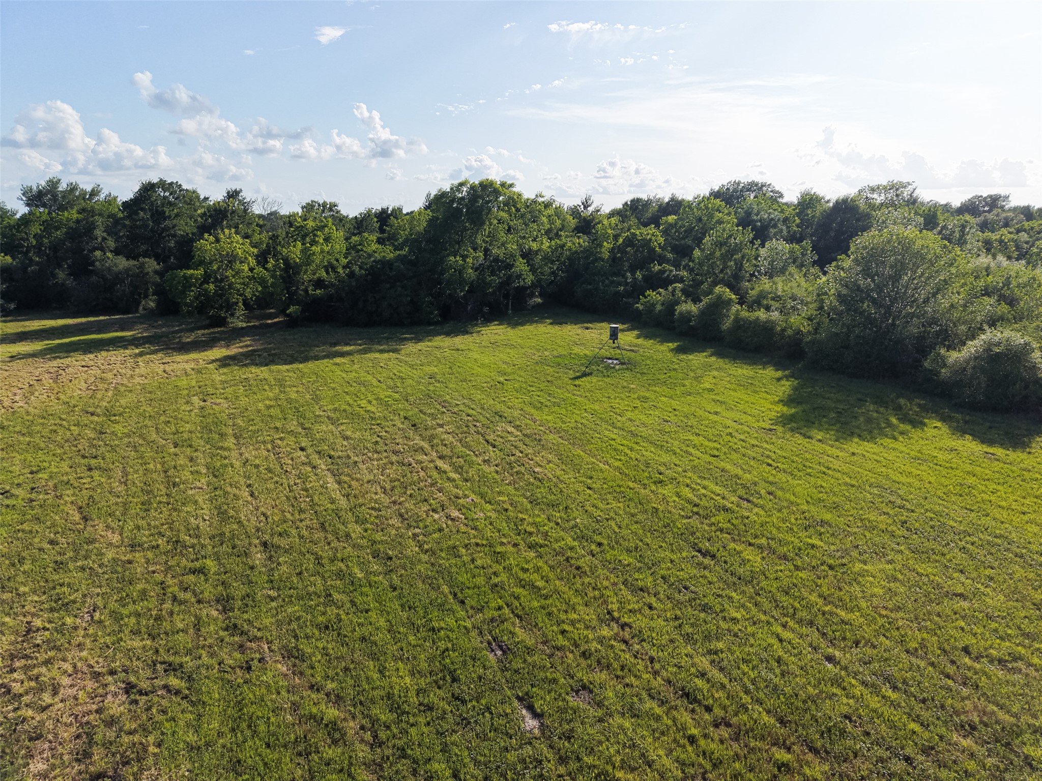 2240 Meyer Road Beasley, TX 77417 - Photo 26 of 29