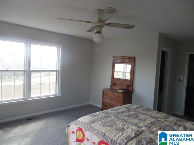 4596 Plant Road Alpine, AL 35014 - Photo 15 of 32 Gallery Image 15