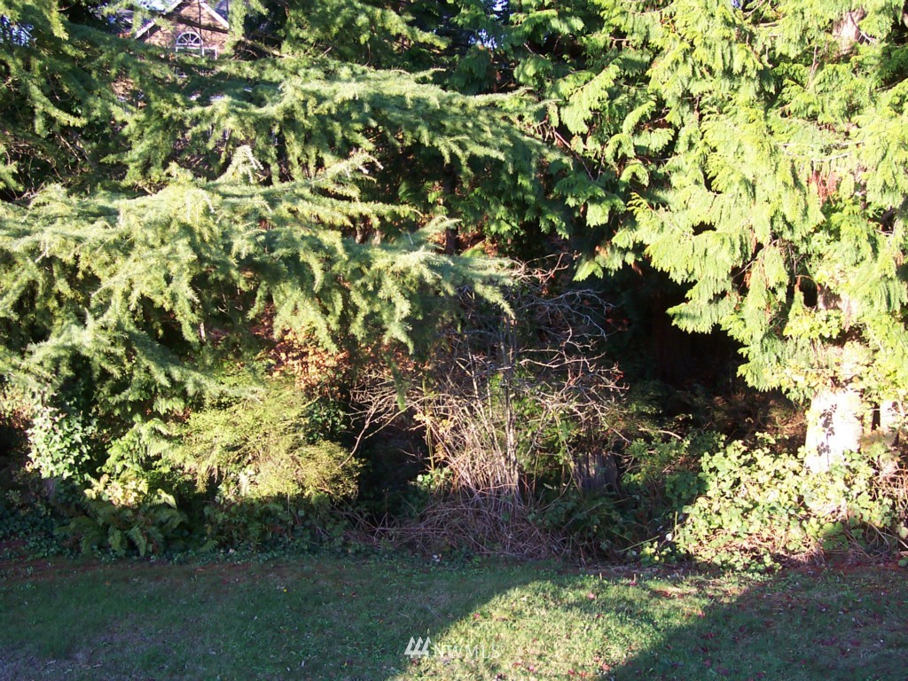 10134 Northeast 204th Street Bothell, WA 98011 - Photo 8 of 15