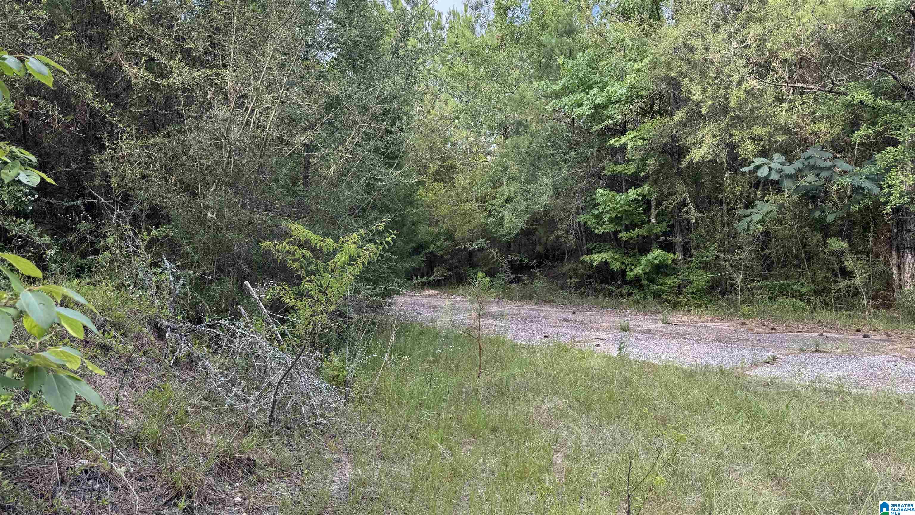 0 Midway Road Tuskegee, AL 36083 - Photo 12 of 30