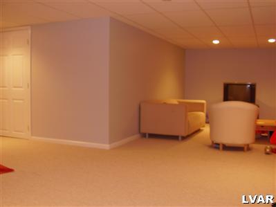 239 Ridings Circle Macungie, PA 18062 - Photo 10 of 17 more finished basement