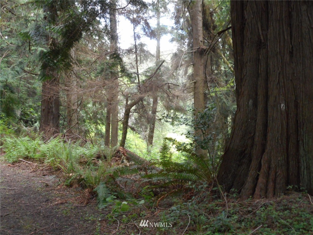1979 Newman Road Freeland, WA 98249 - Photo 6 of 10