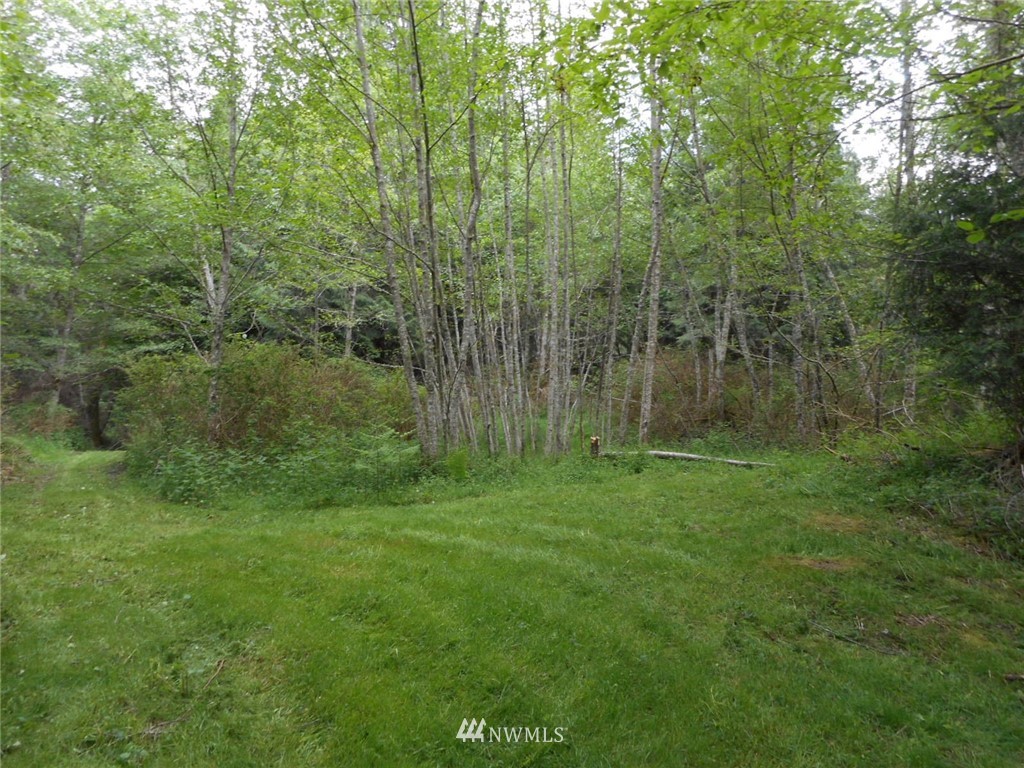 1979 Newman Road Freeland, WA 98249 - Photo 10 of 10