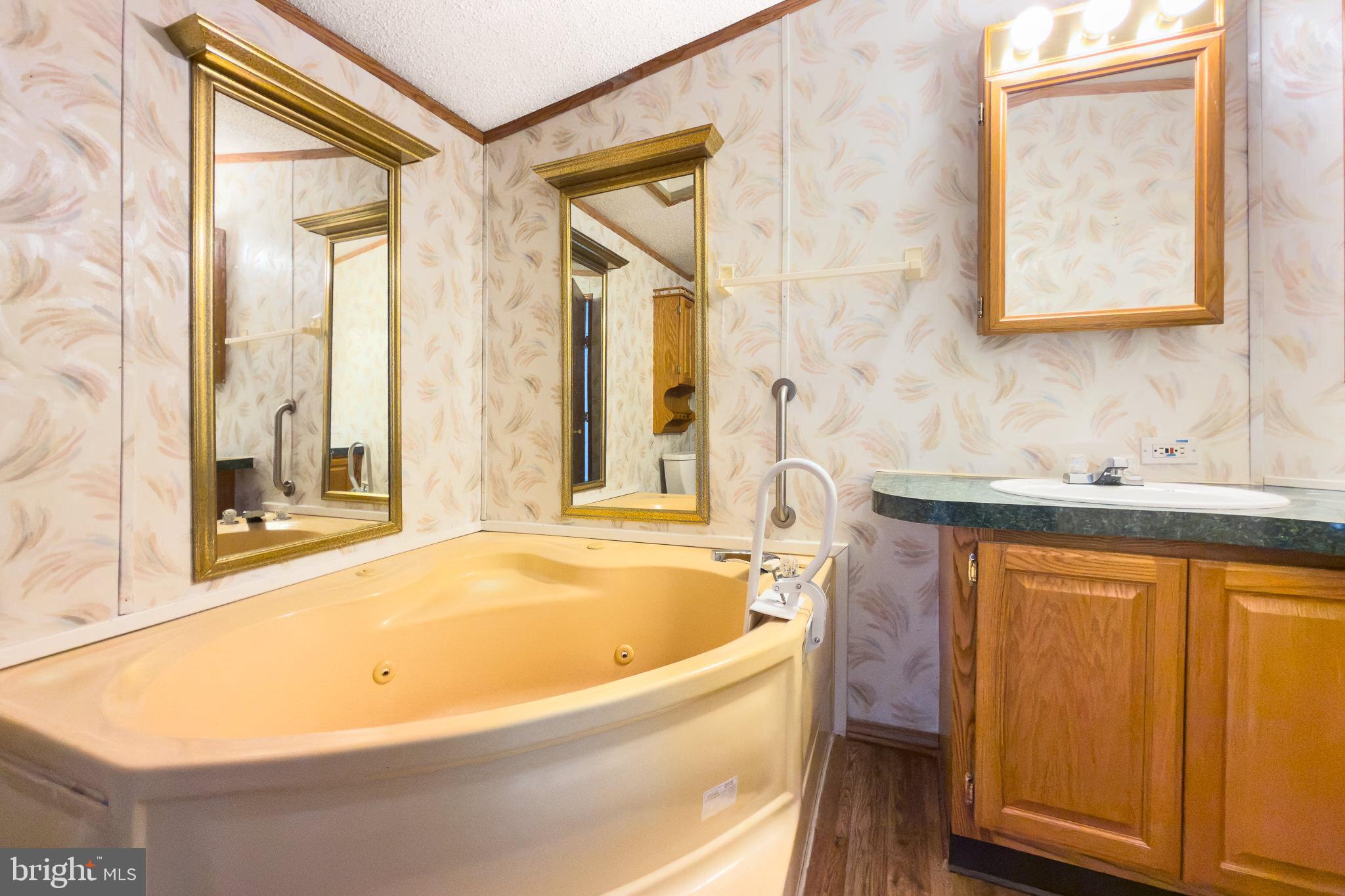 22 St Michaels Court Elkton, MD 21921 - Photo 11 of 16 Primary bathroom soaking tub