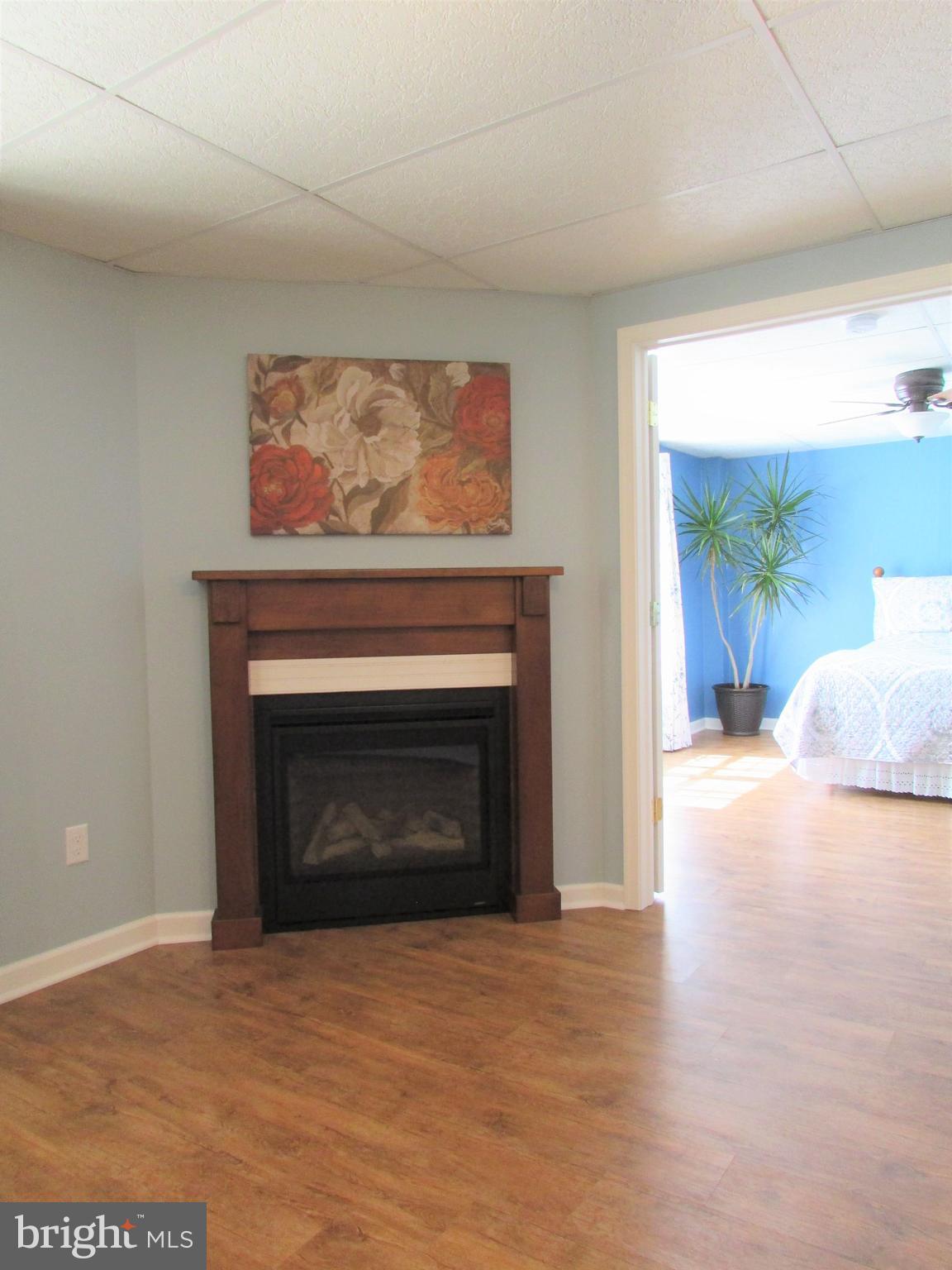 1400 Mentzer Road Lancaster, PA 17602 - Photo 20 of 45 Lower Level Living Room with Fireplace