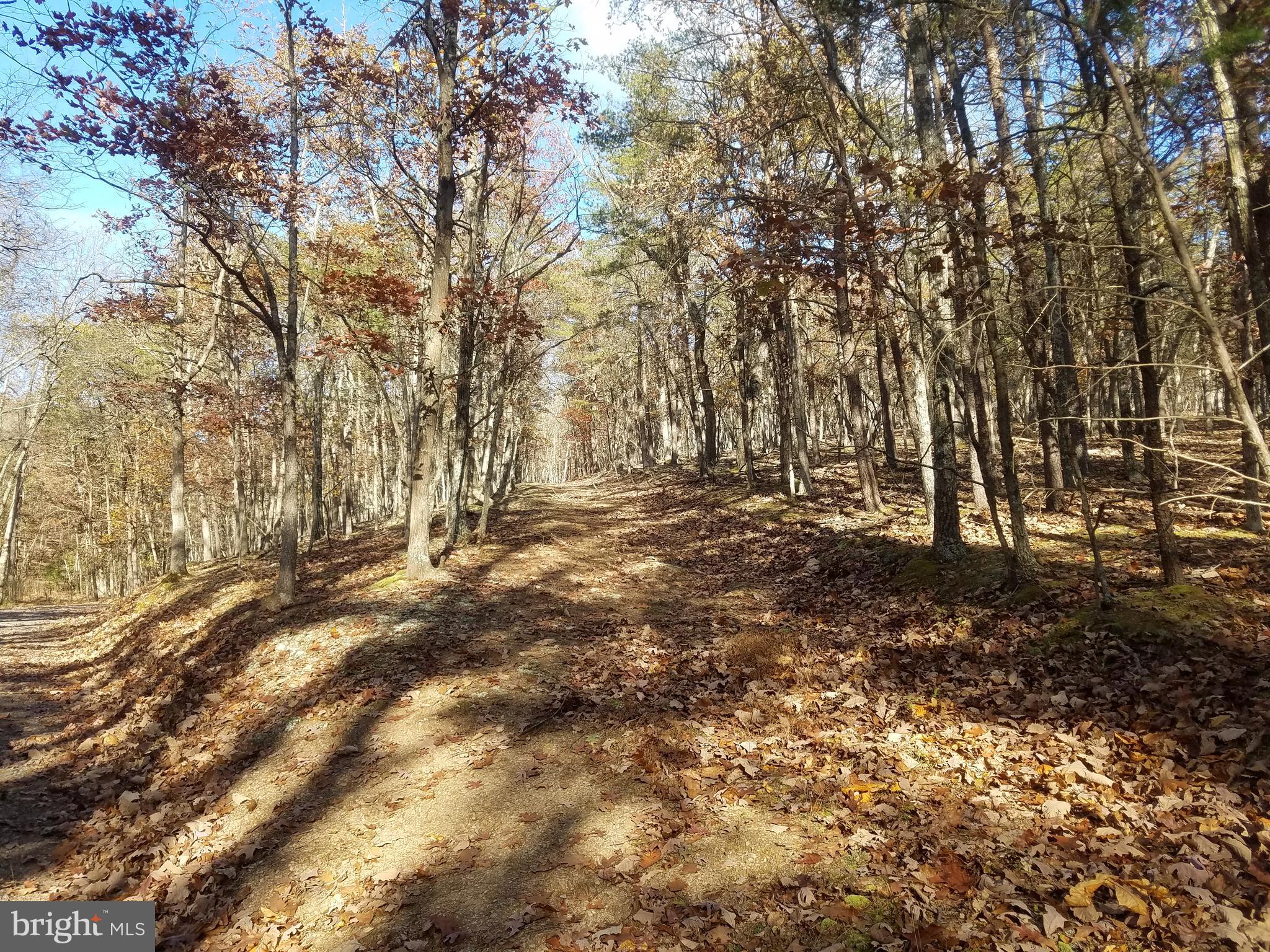 Church Hollow Road Romney, WV 26757 - Photo 2 of 20