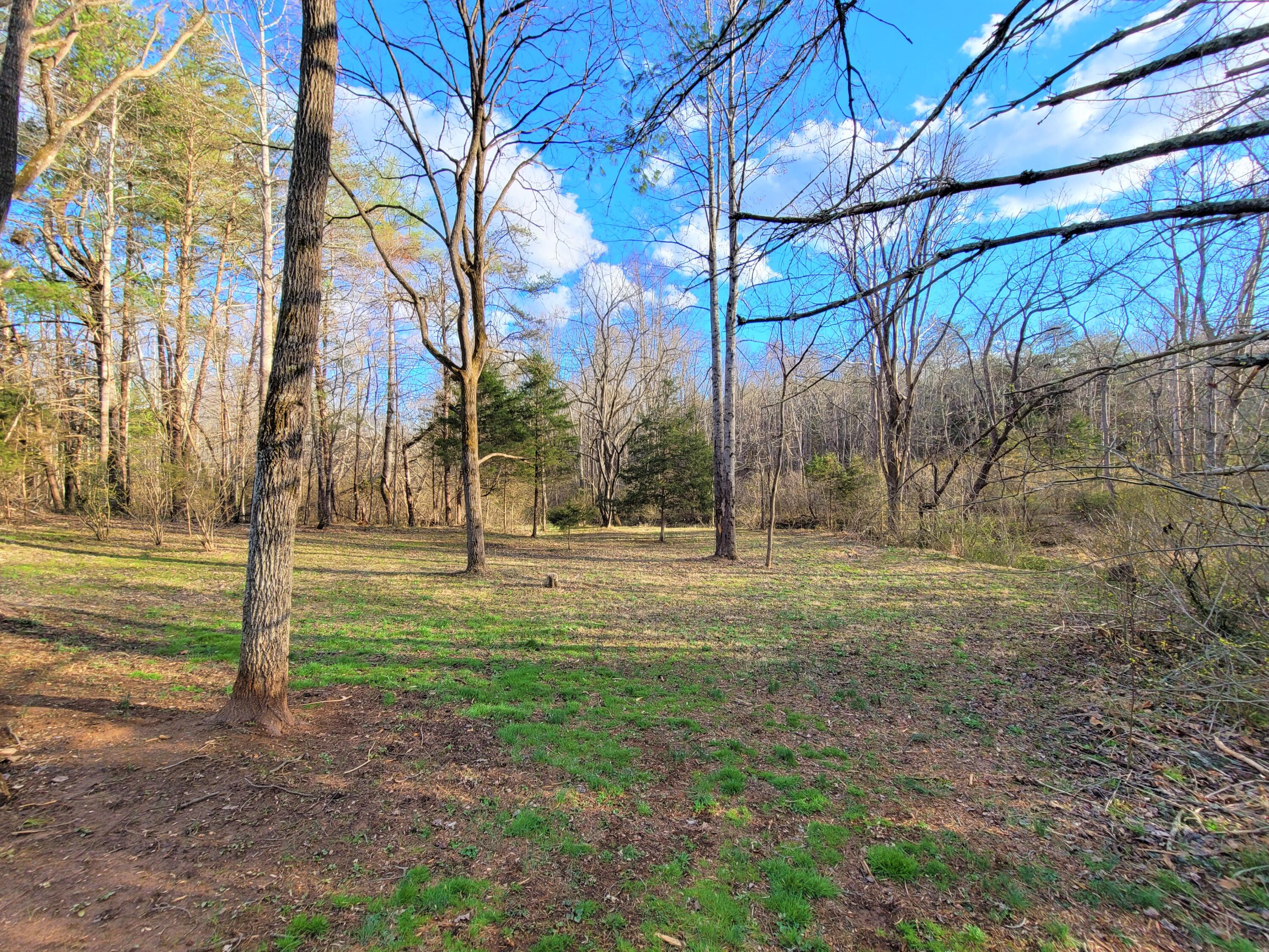 330 Green Level Road Boones Mill, VA 24065 - Photo 36 of 43 a view of dirt yard
