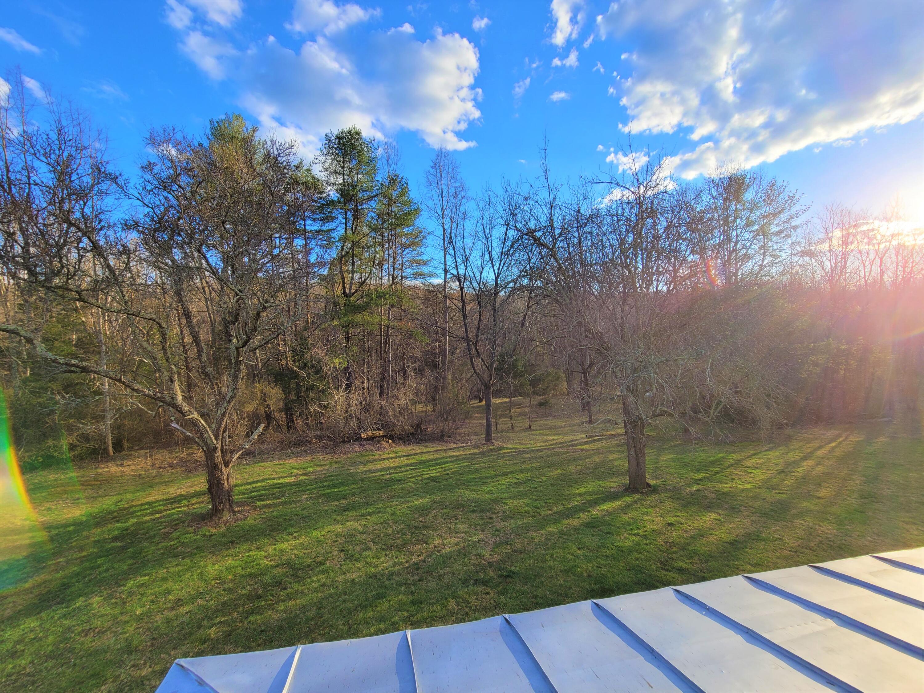 330 Green Level Road Boones Mill, VA 24065 - Photo 41 of 43 a backyard of a house with lots of green space