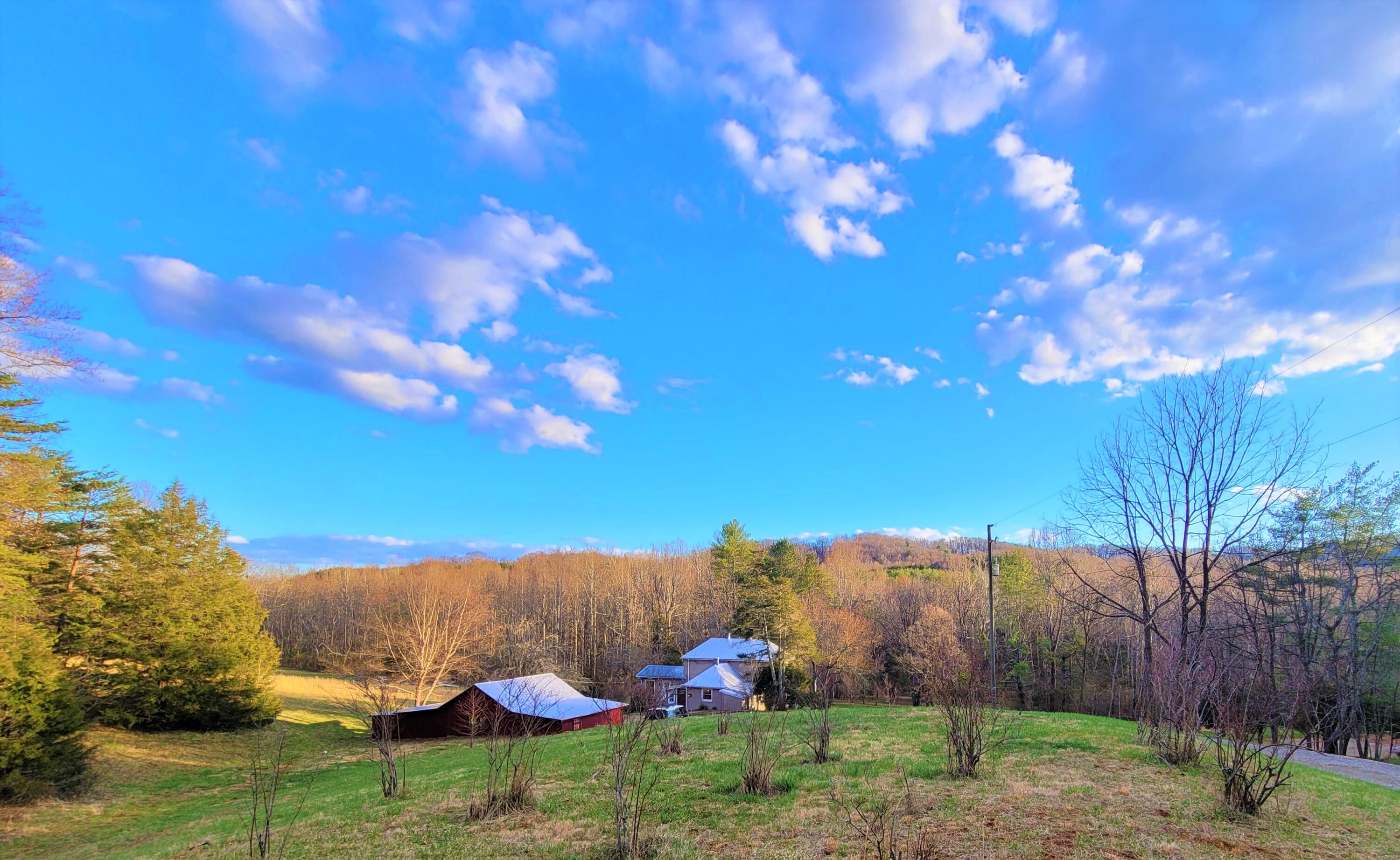 330 Green Level Road Boones Mill, VA 24065 - Photo 42 of 43 a view of a yard with palm trees