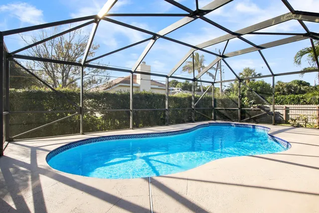 a view of a park with palm trees