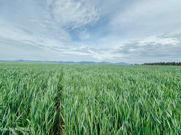 $175,000 | 783 Old Mills Road, Tensed, ID 83870