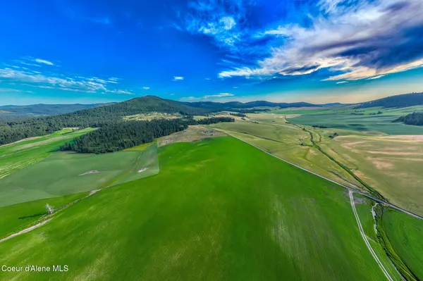 $175,000 | 783 Old Mills Road, Tensed, ID 83870