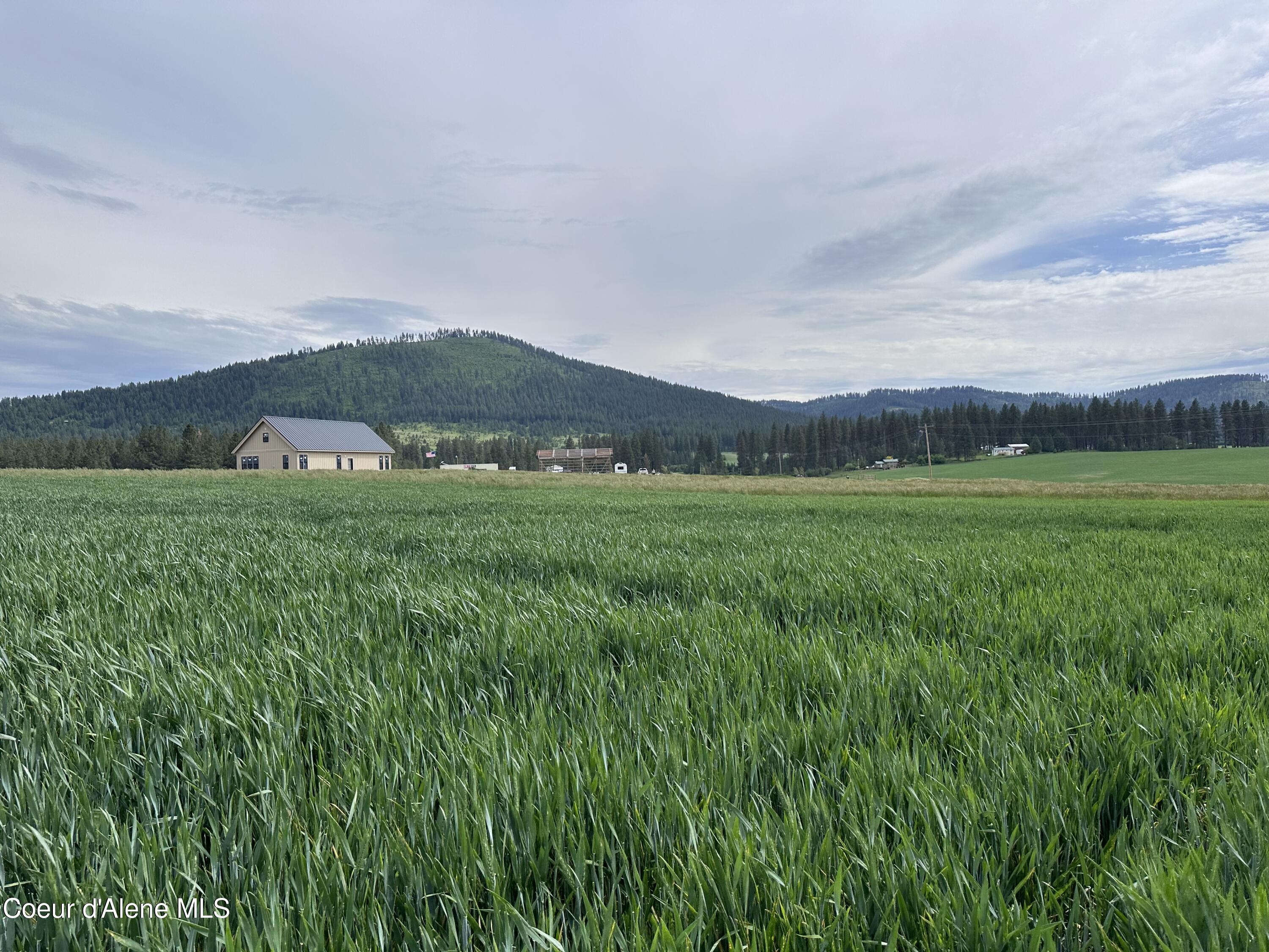 783 Old Mills Road Tensed, ID 83870 - Photo 8 of 12 10 Acres
