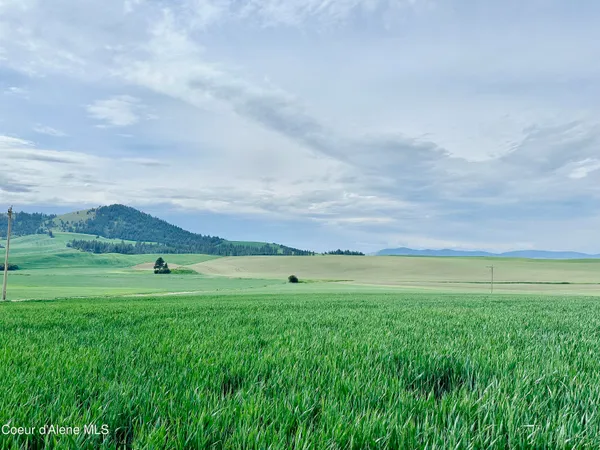 $175,000 | 783 Old Mills Road, Tensed, ID 83870