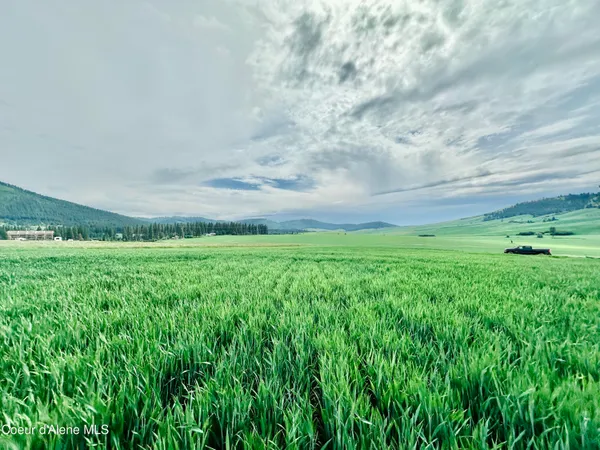 $175,000 | 783 Old Mills Road, Tensed, ID 83870