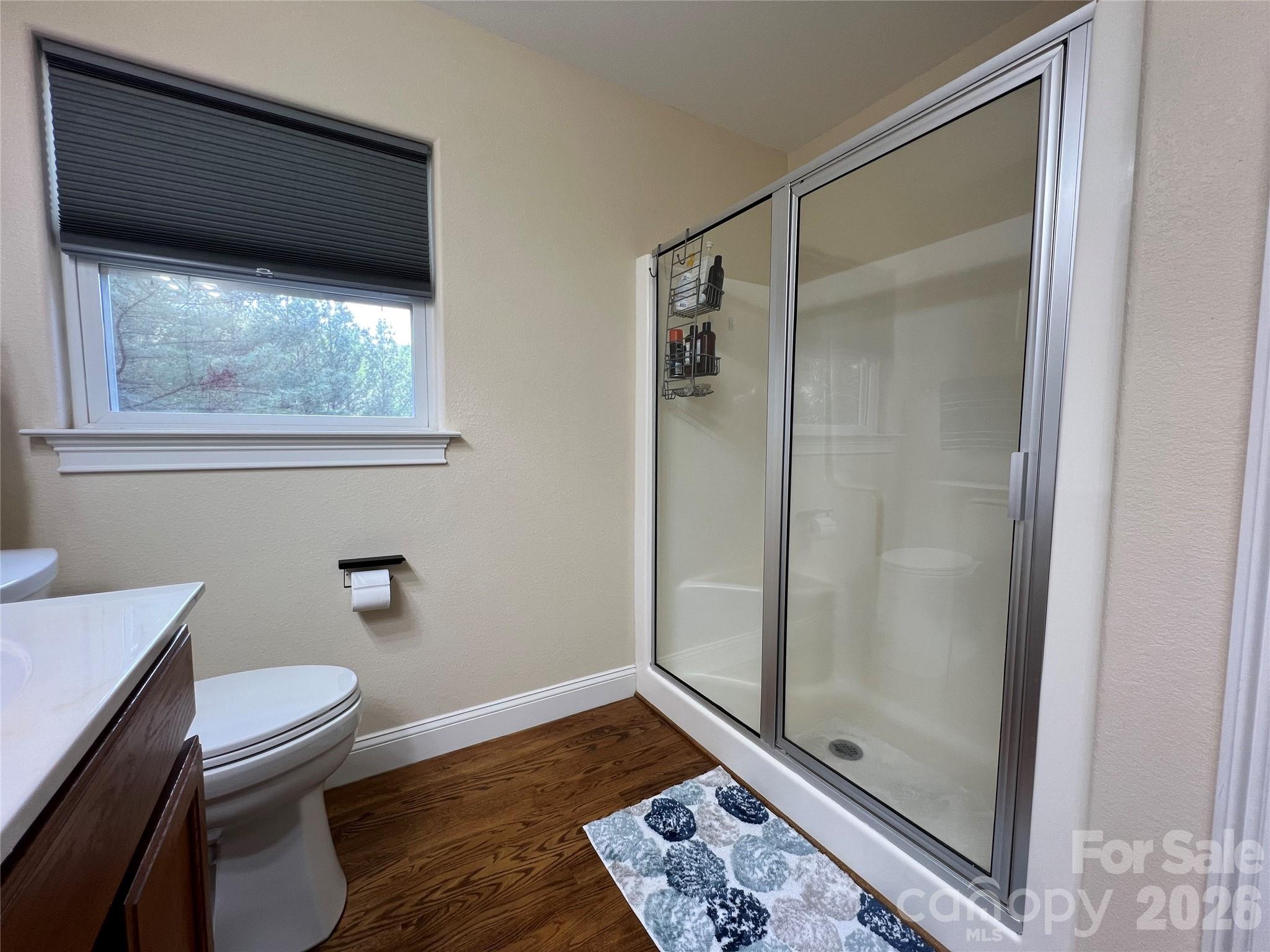 391 Clearwater Parkway Rutherfordton, NC 28139 - Photo 34 of 48