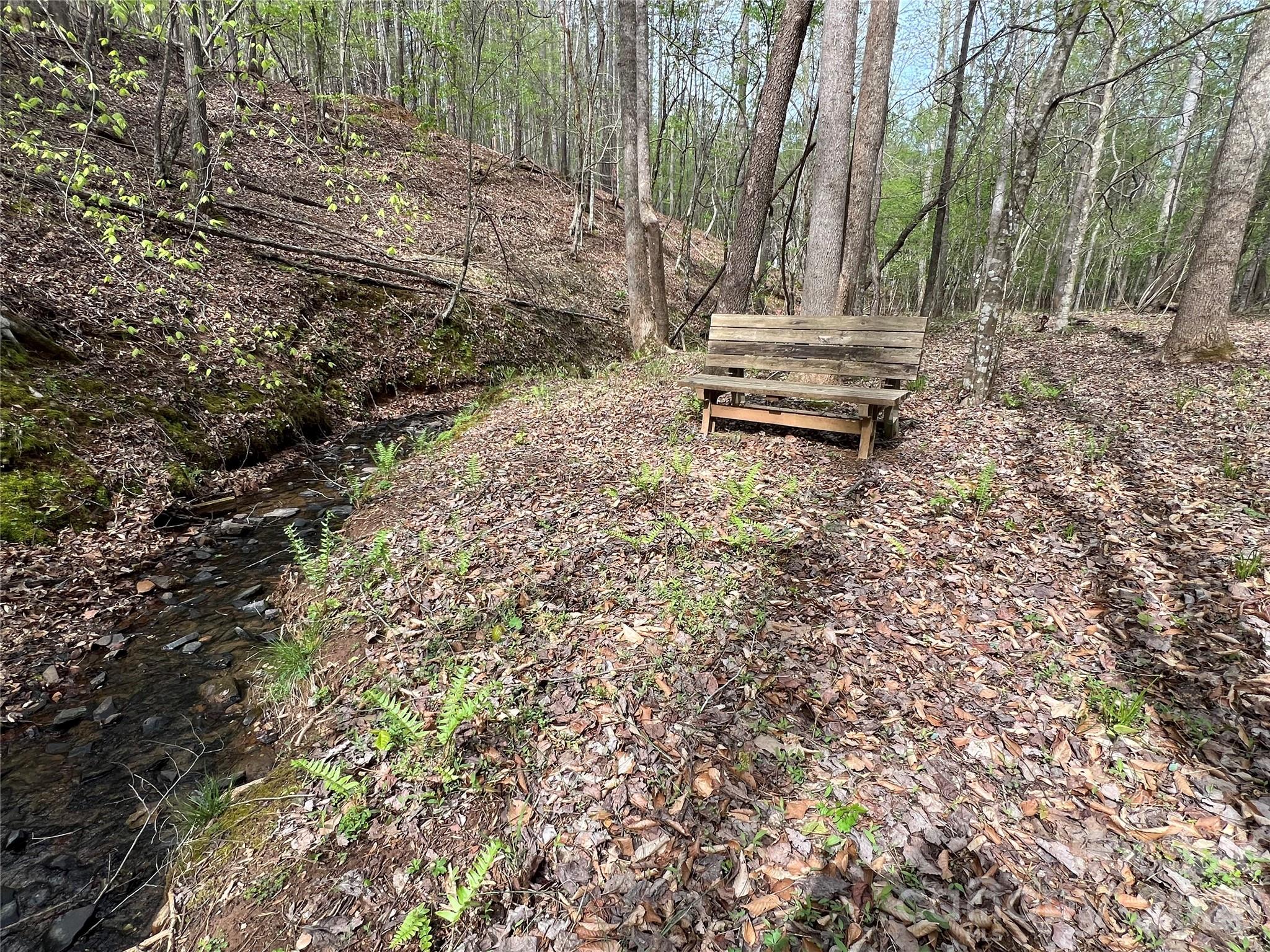 391 Clearwater Parkway Rutherfordton, NC 28139 - Photo 46 of 48