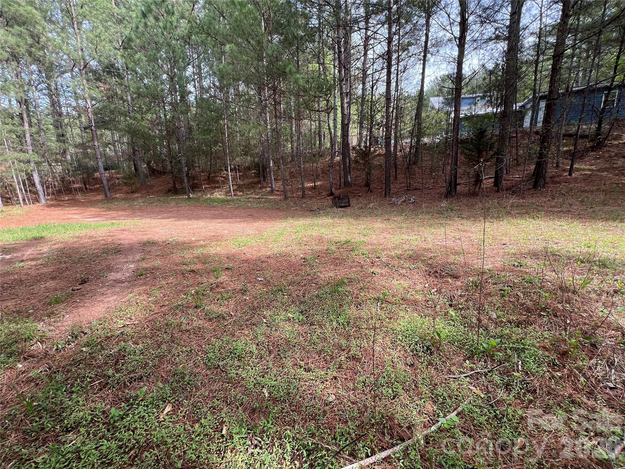 391 Clearwater Parkway Rutherfordton, NC 28139 - Photo 47 of 48
