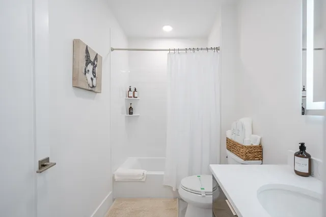 a bathroom with a sink toilet and vanity