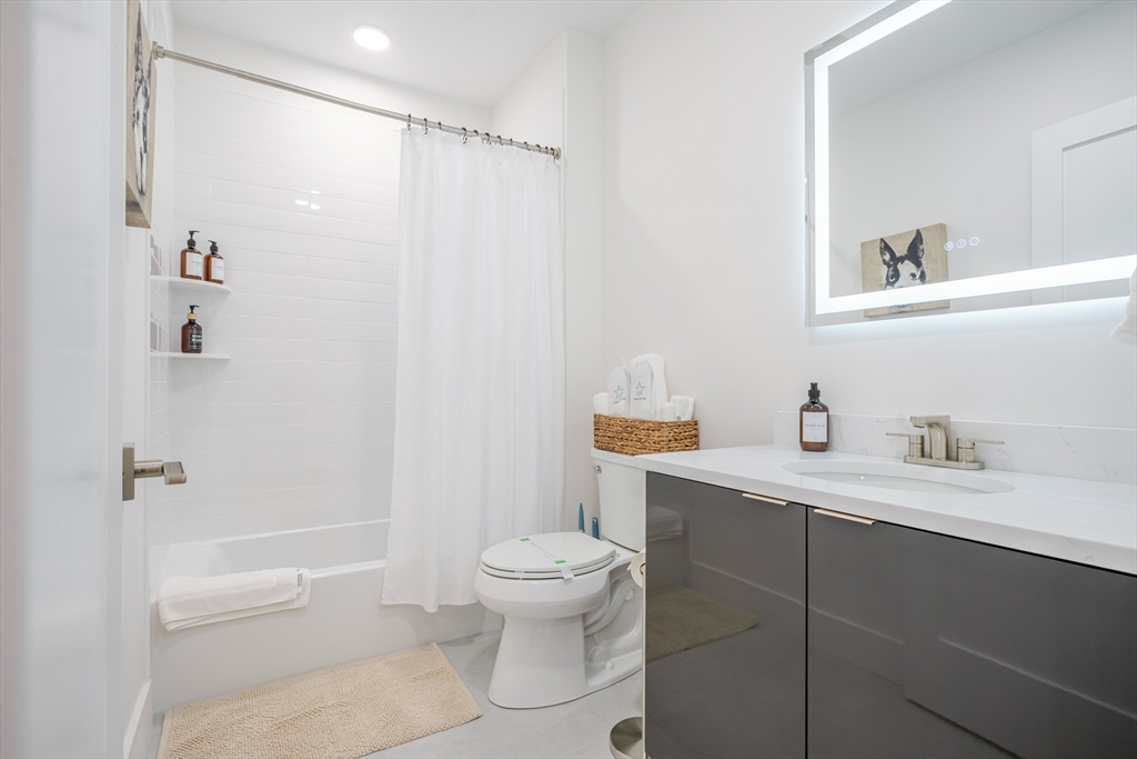 38 Hichborn Street, Unit 404FURNISHE Boston, MA 02135 - Photo 14 of 16 a bathroom with a sink a toilet and shower