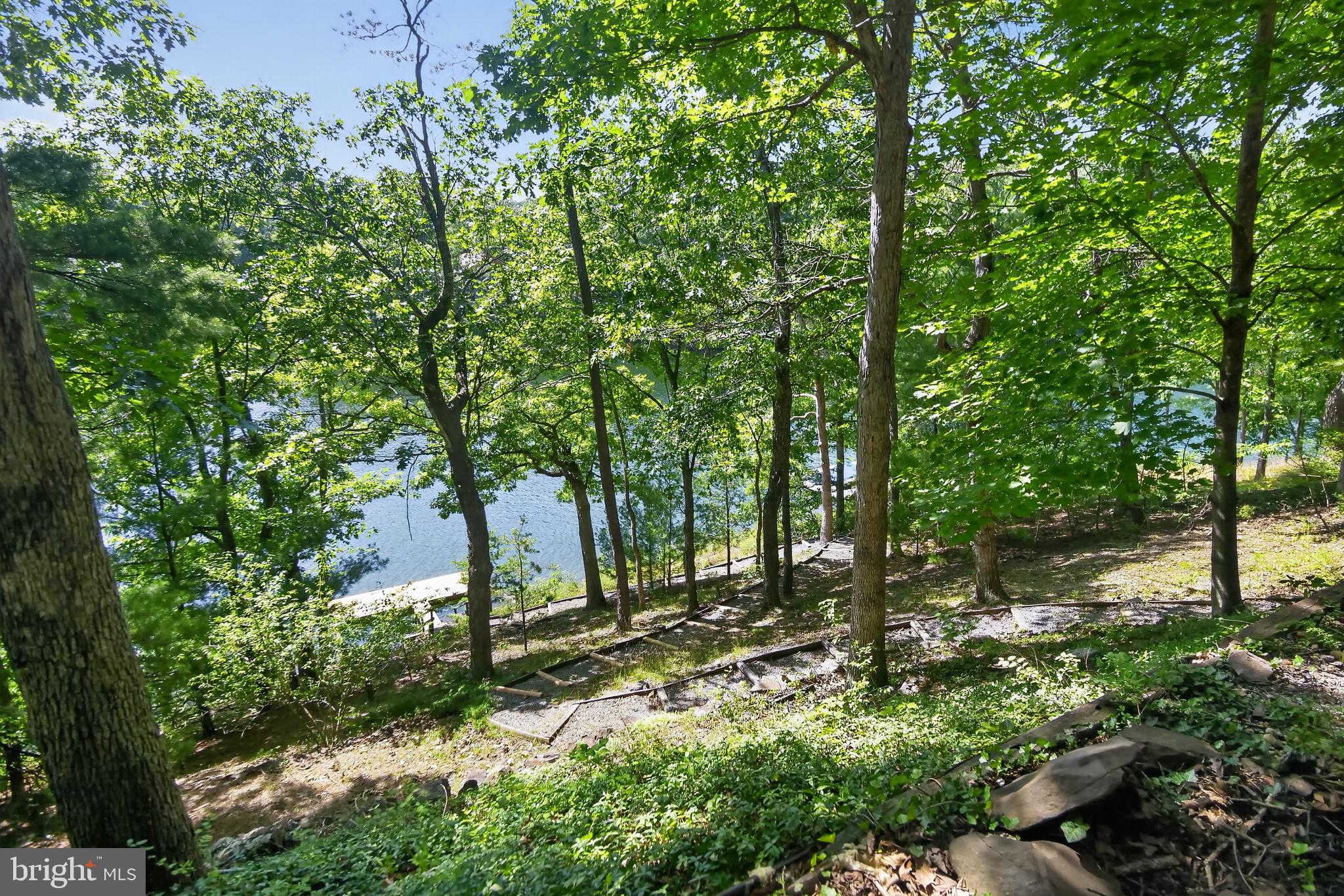 233 Sunset Circle Cross Junction, VA 22625 - Photo 7 of 46 Rear Yard and Dock