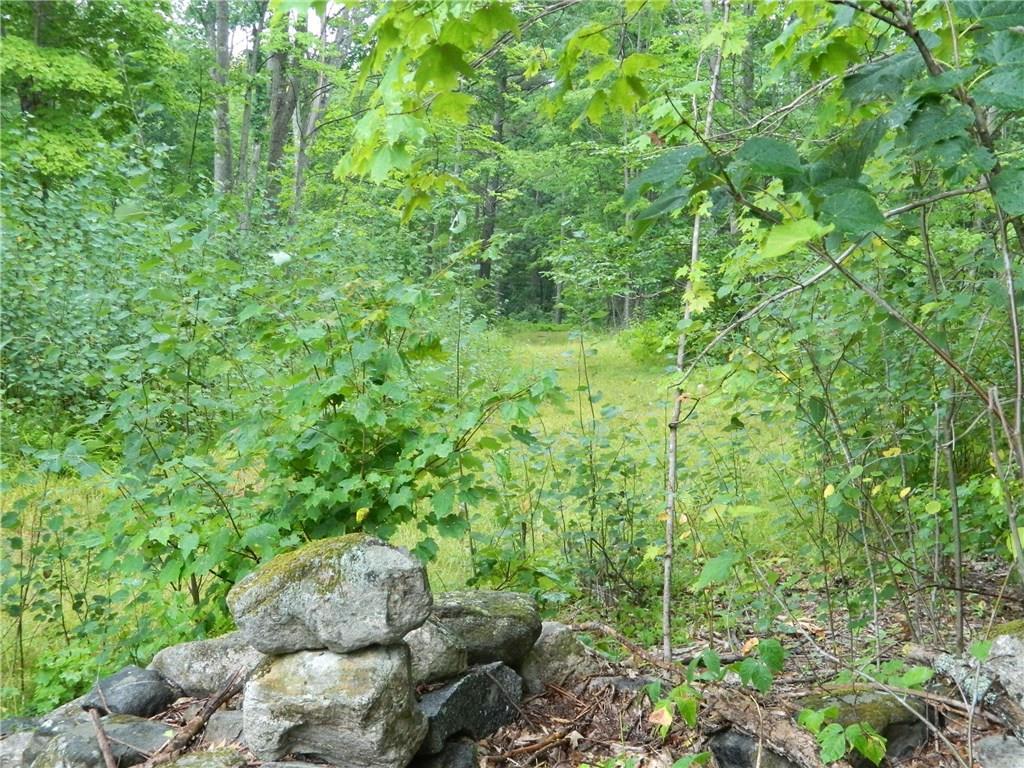 0 Mountain Road Parsonsfield, ME 04047 - Photo 15 of 22 Photo