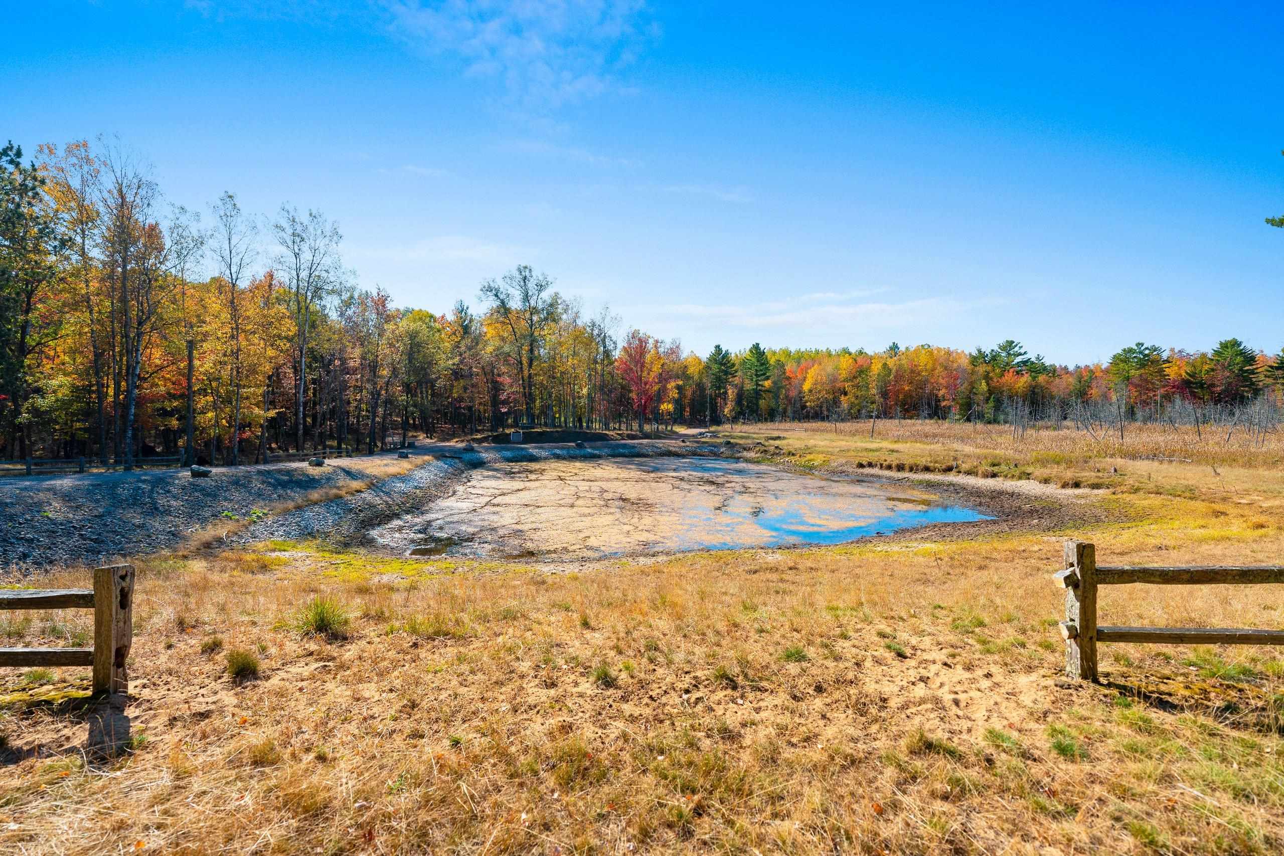 10014 Tank Lane Pound, WI 54161 - Photo 13 of 84