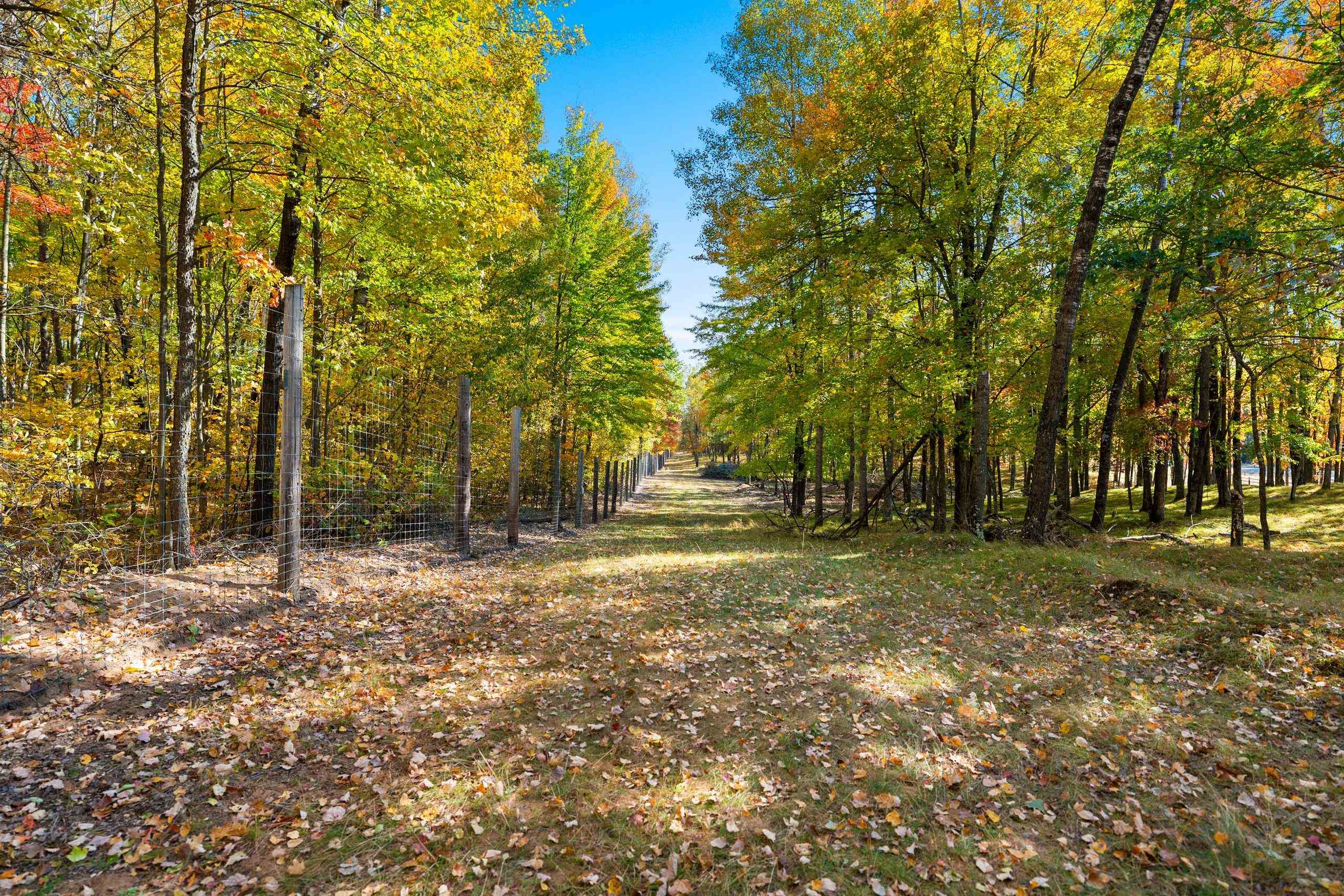 10014 Tank Lane Pound, WI 54161 - Photo 21 of 84