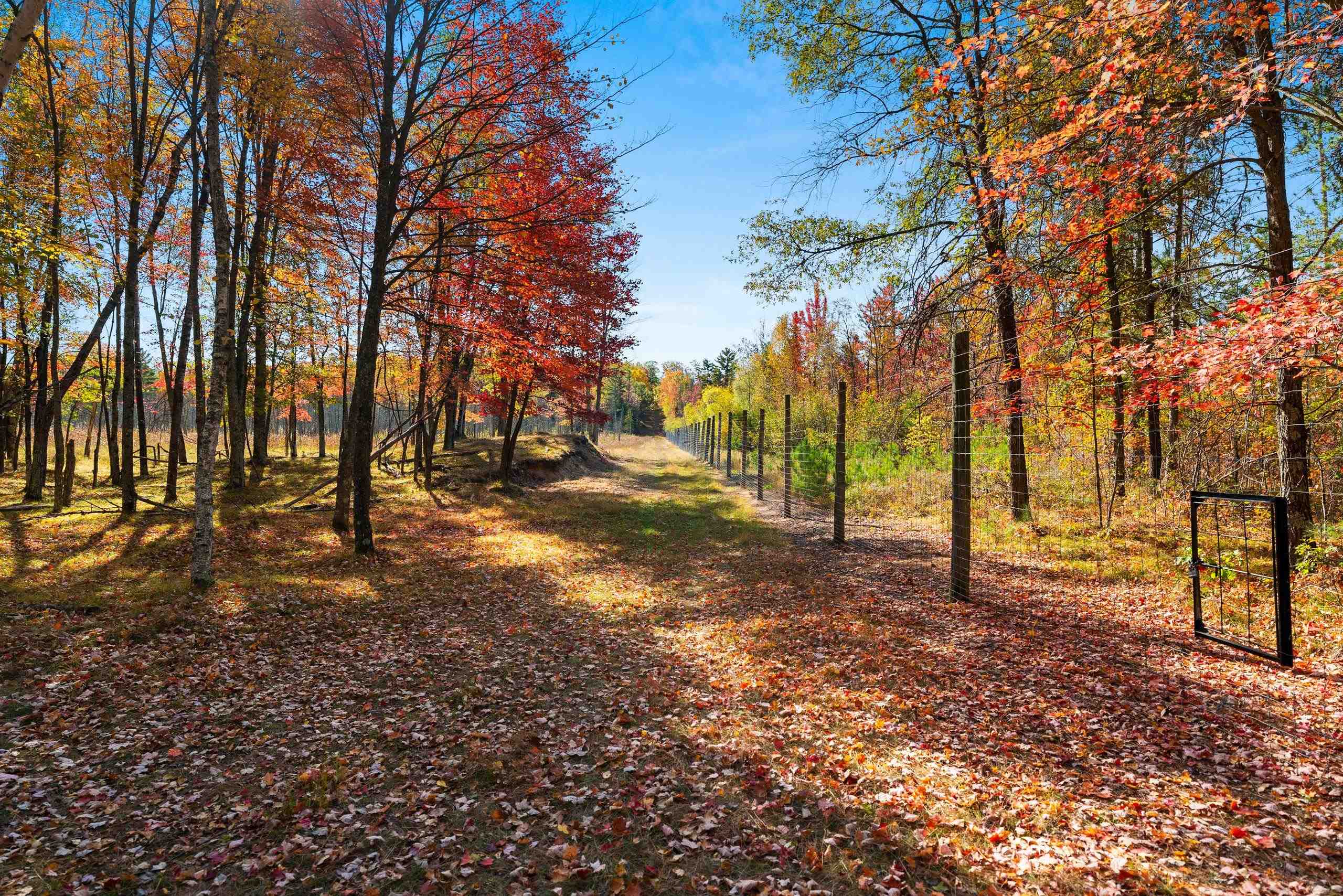 10014 Tank Lane Pound, WI 54161 - Photo 22 of 84
