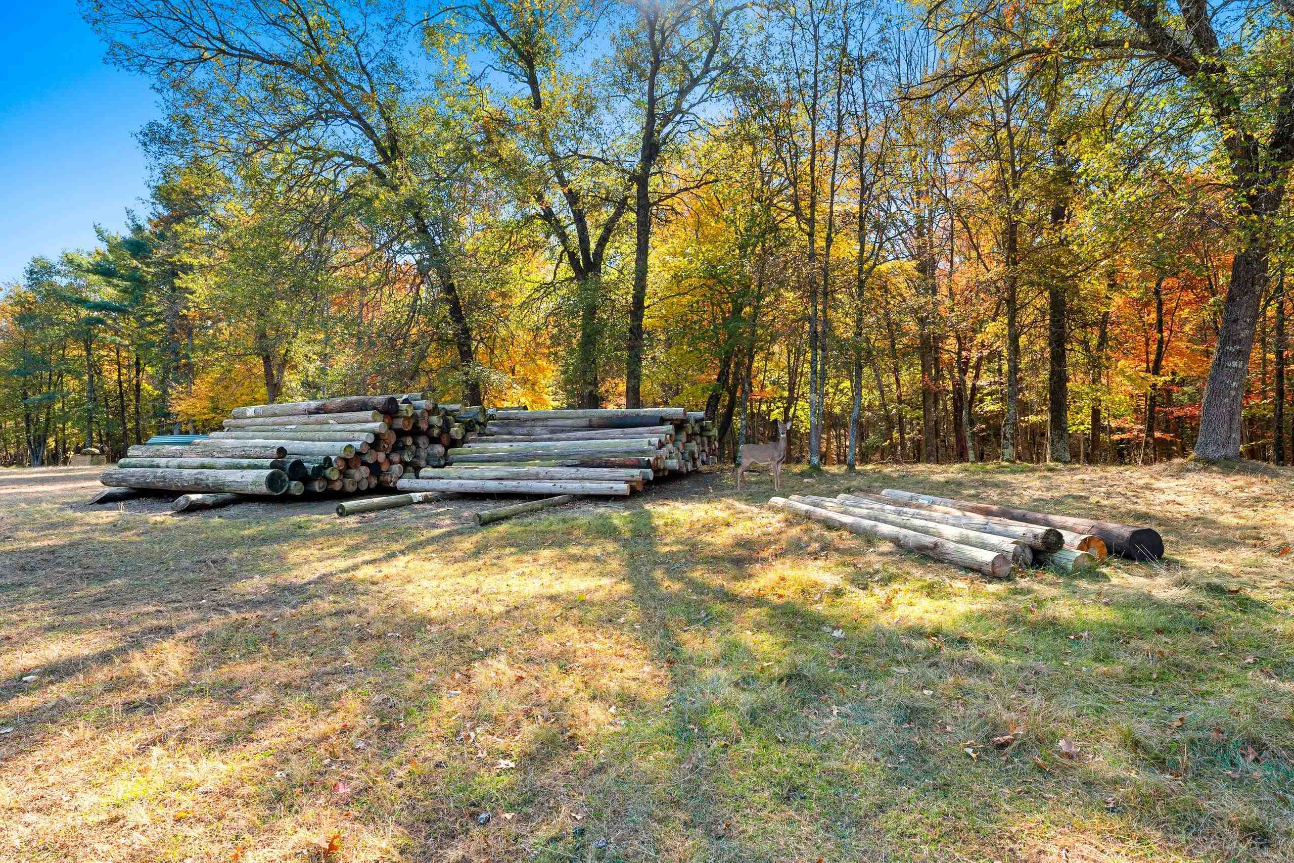 10014 Tank Lane Pound, WI 54161 - Photo 24 of 84