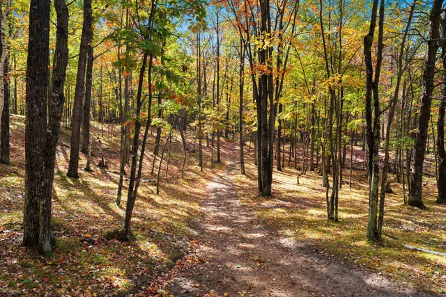 $3,250,000 | 10014 Tank Lane, Pound, WI 54161