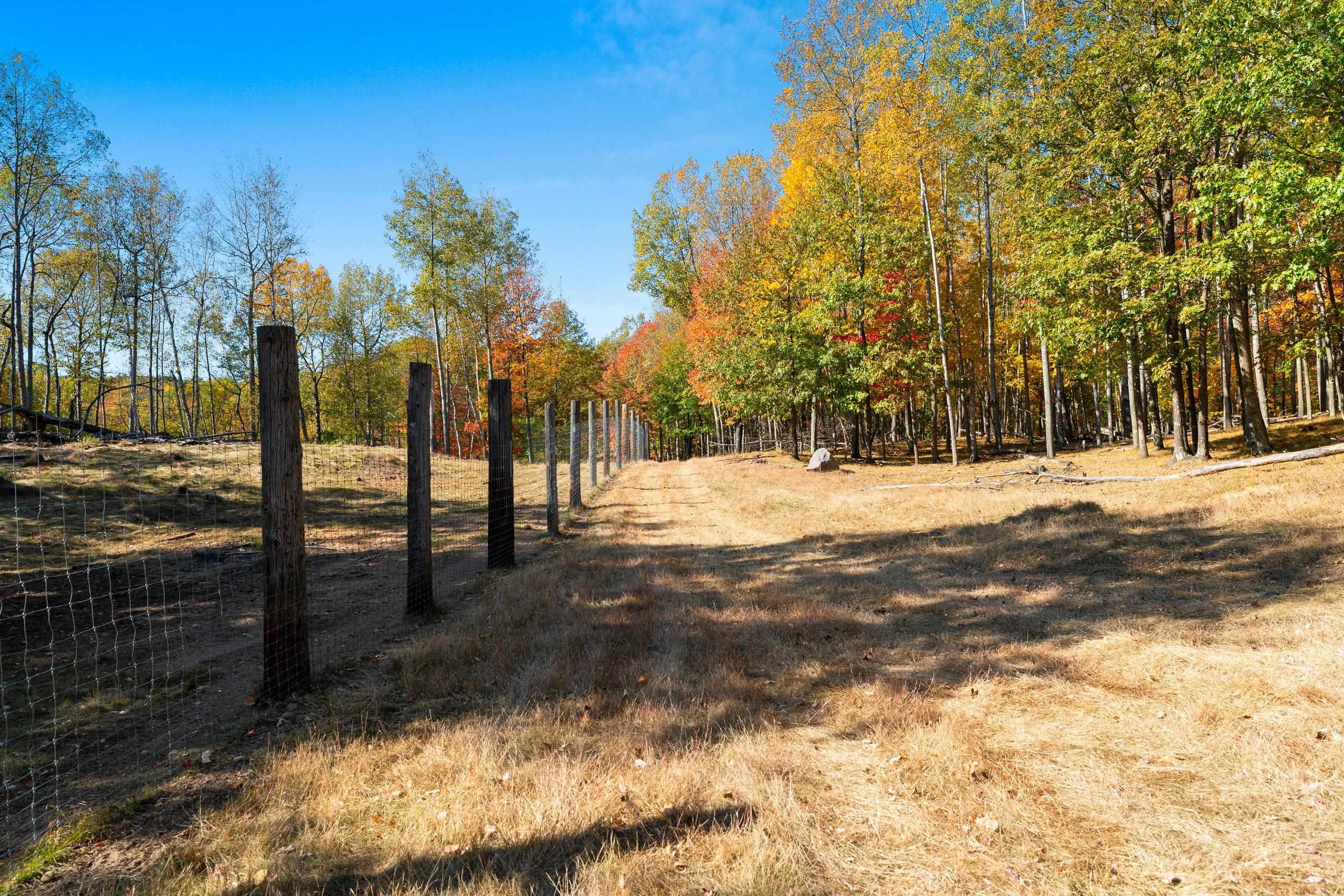 10014 Tank Lane Pound, WI 54161 - Photo 40 of 84