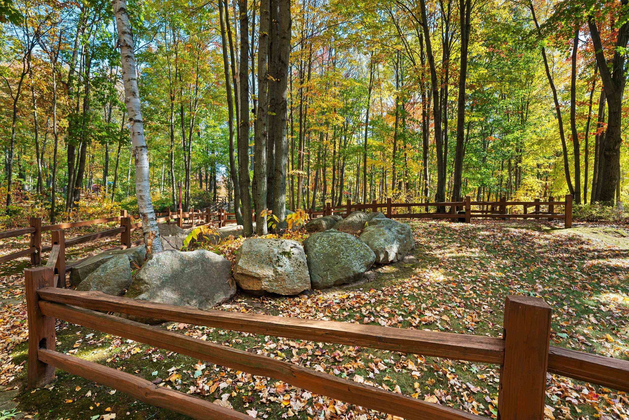 10014 Tank Lane Pound, WI 54161 - Photo 41 of 84