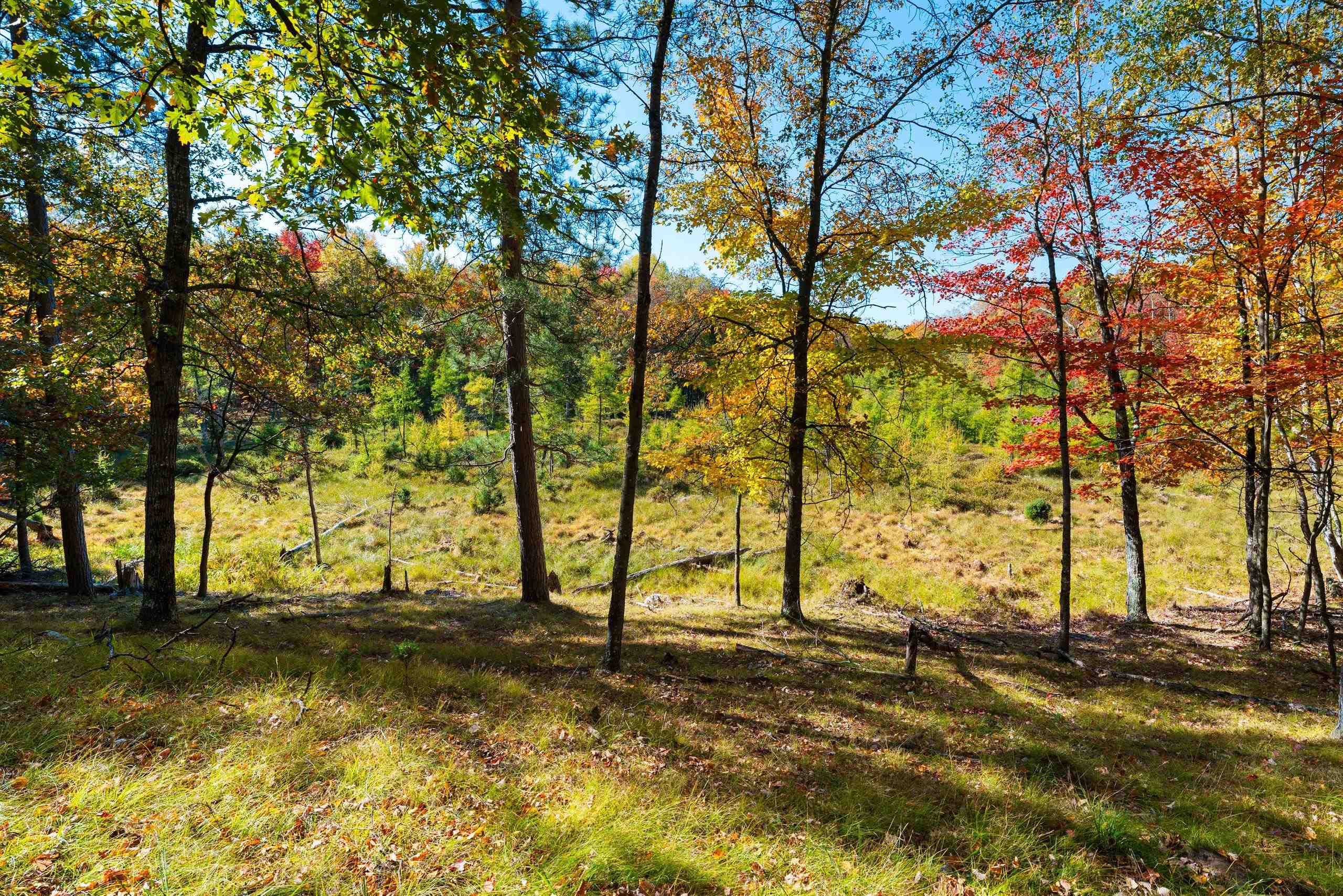 10014 Tank Lane Pound, WI 54161 - Photo 43 of 84