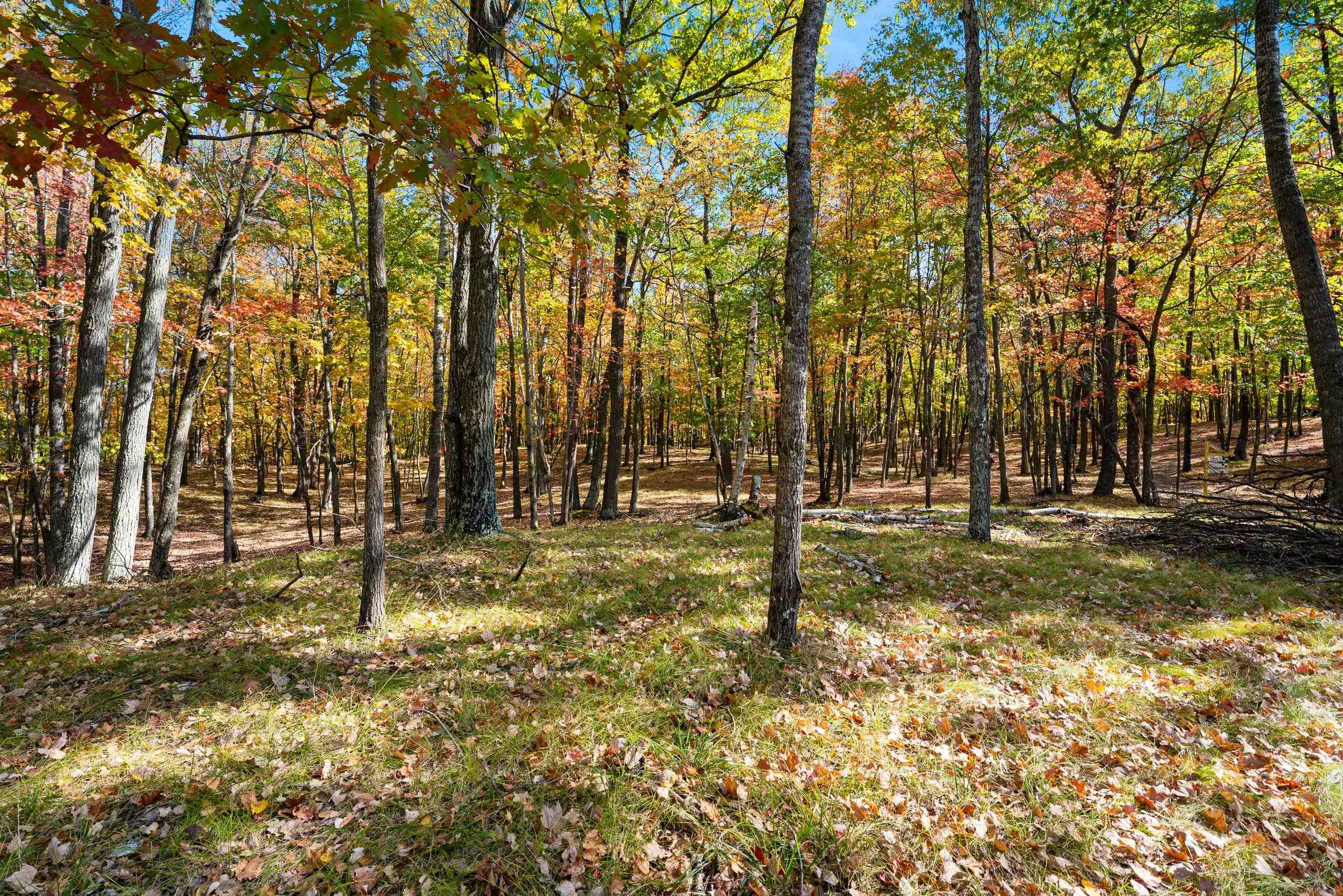 10014 Tank Lane Pound, WI 54161 - Photo 45 of 84