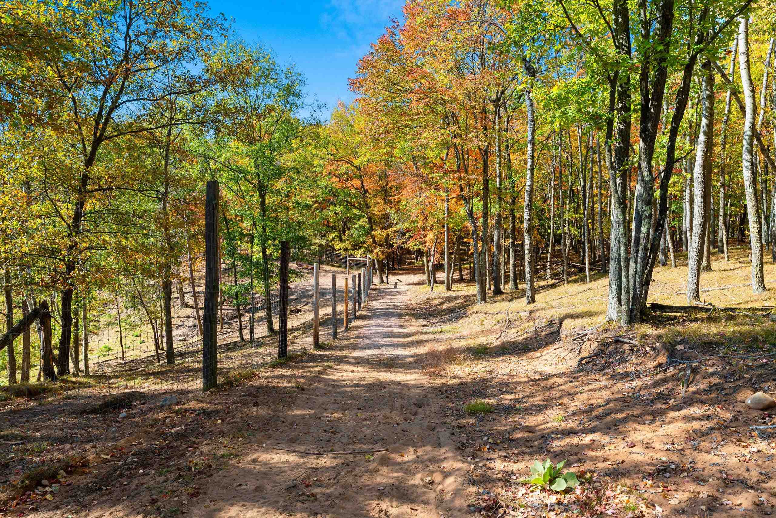 10014 Tank Lane Pound, WI 54161 - Photo 55 of 84