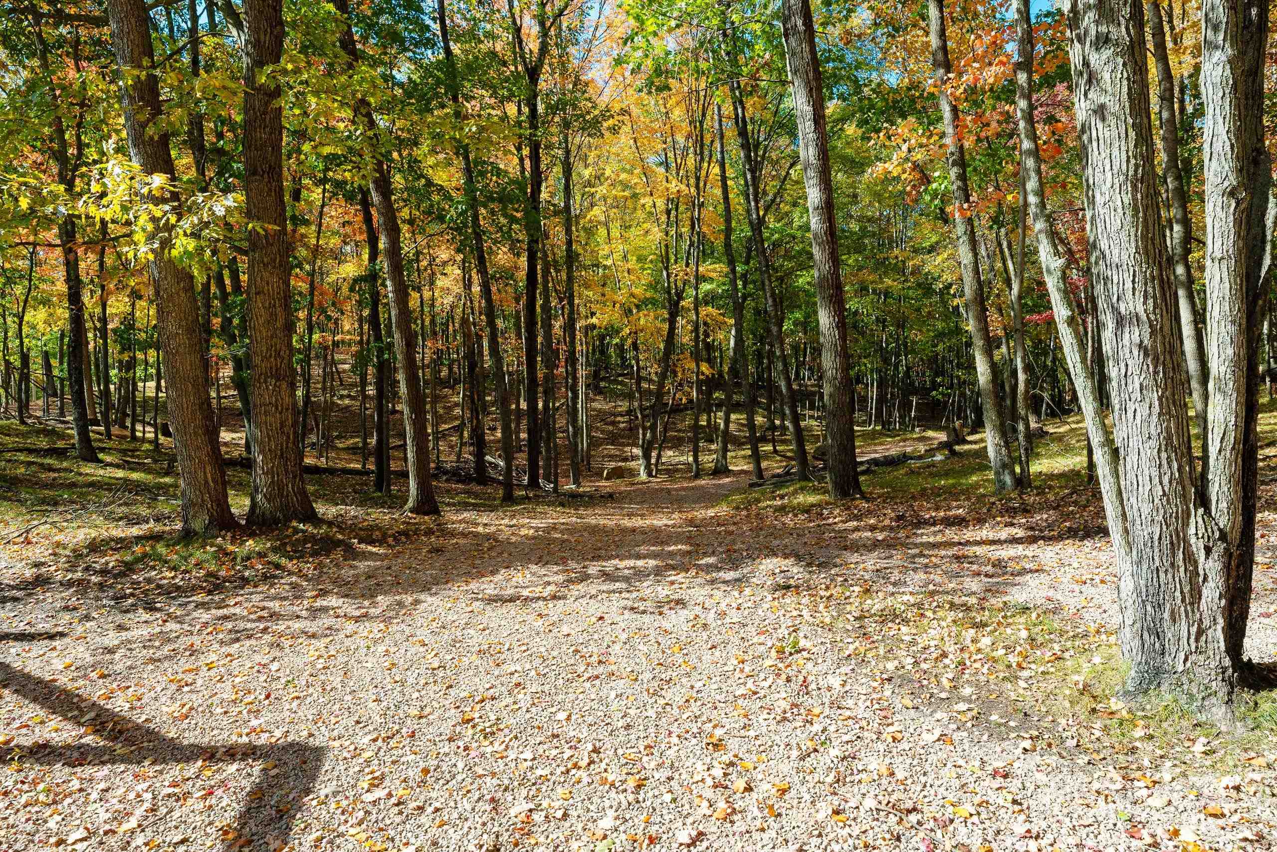 10014 Tank Lane Pound, WI 54161 - Photo 59 of 84