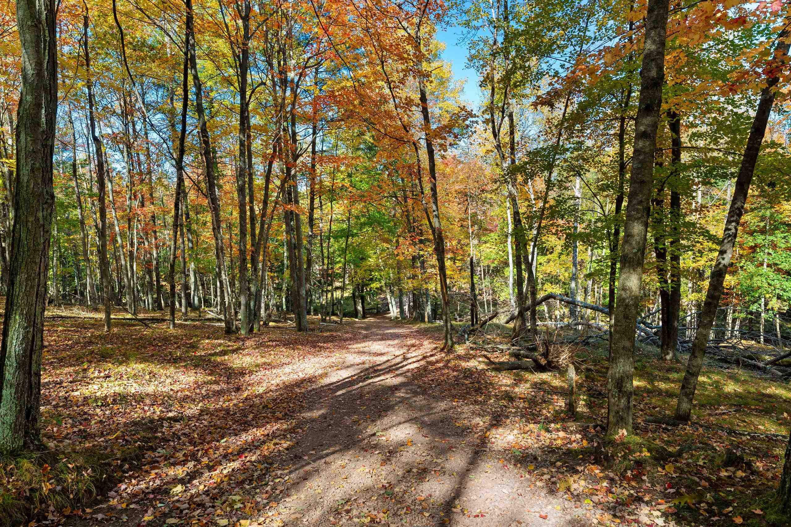 10014 Tank Lane Pound, WI 54161 - Photo 60 of 84