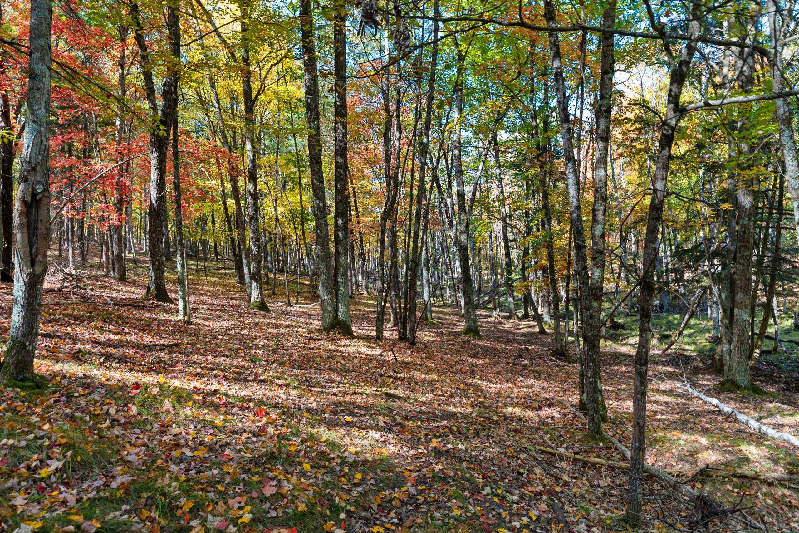 10014 Tank Lane Pound, WI 54161 - Photo 62 of 84