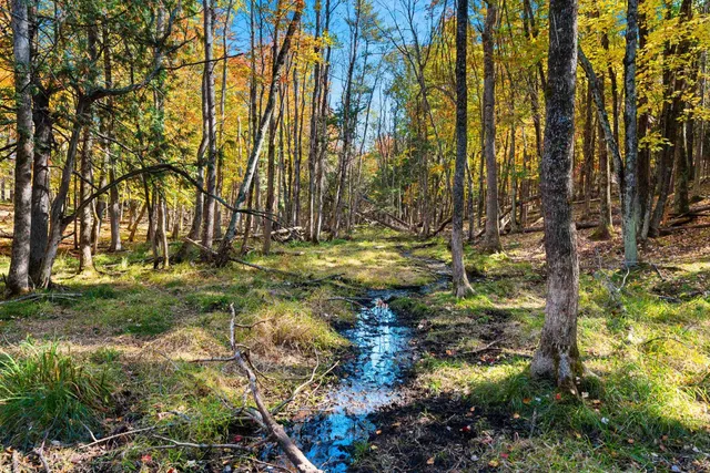 $3,250,000 | 10014 Tank Lane, Pound, WI 54161