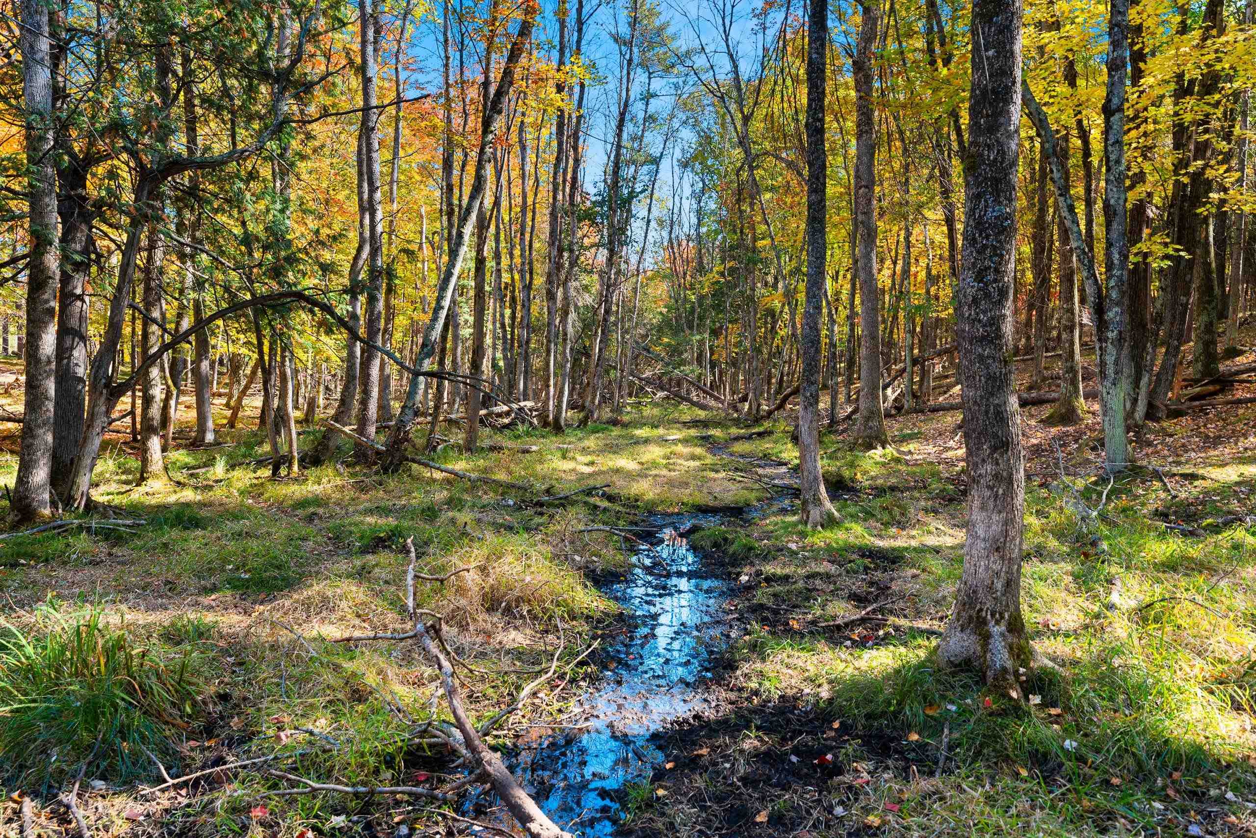 10014 Tank Lane Pound, WI 54161 - Photo 63 of 84