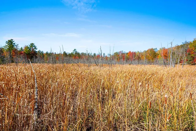 $3,250,000 | 10014 Tank Lane, Pound, WI 54161