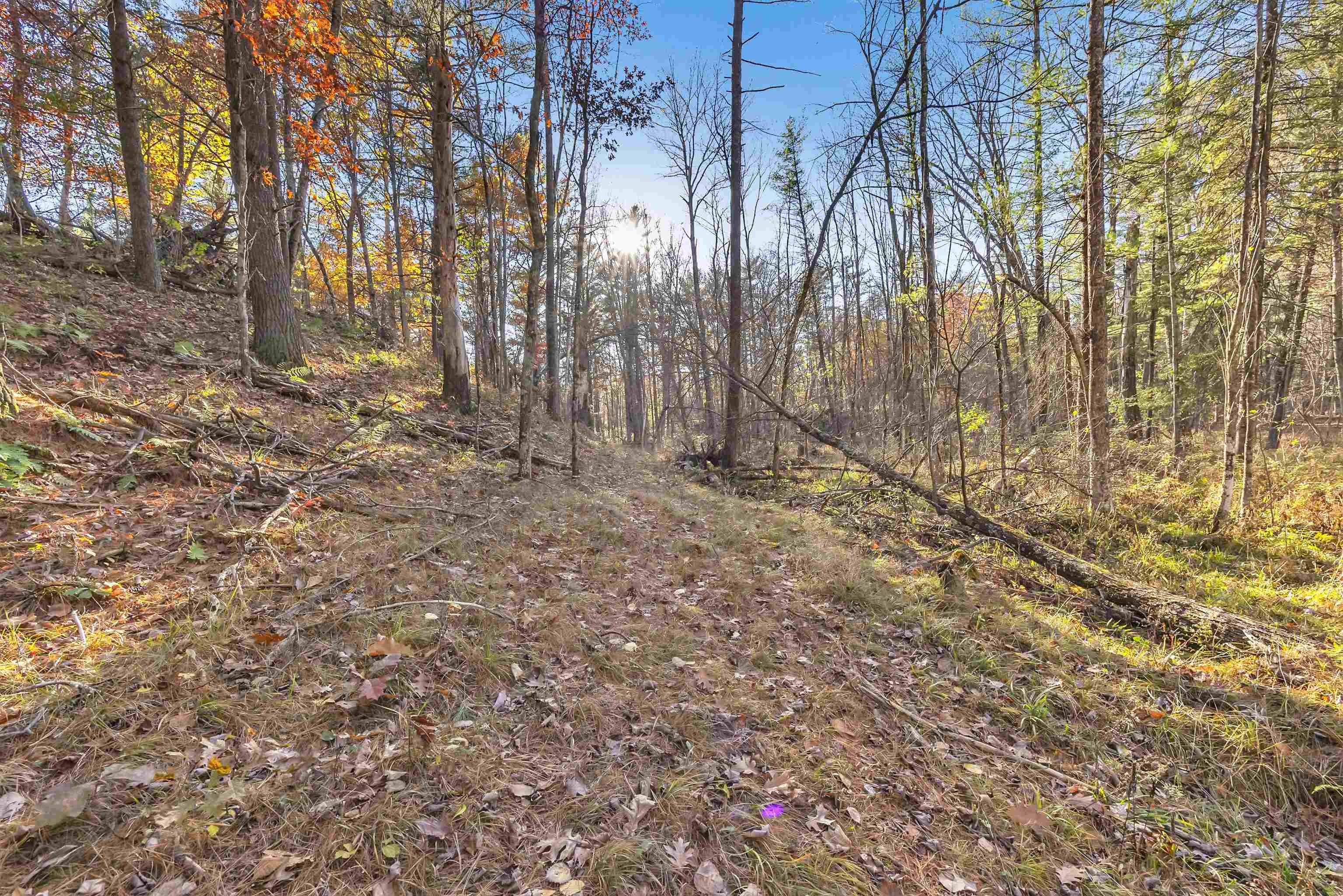 County Road Iola, WI 54945 - Photo 1 of 1 Gallery Image 1