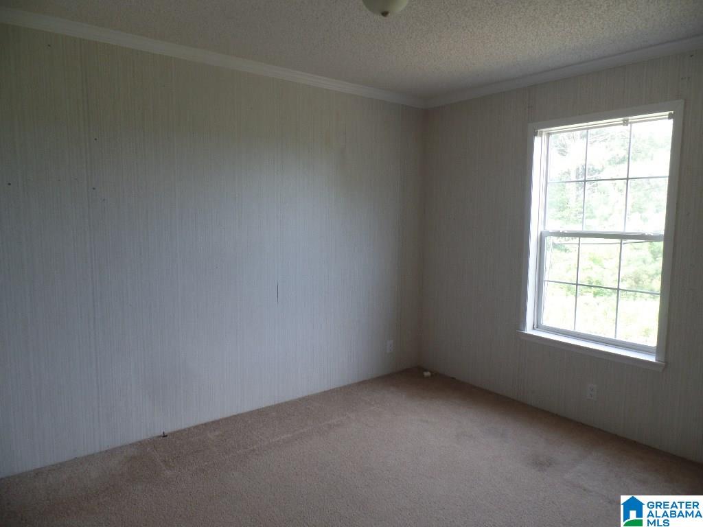 620 Commissary Road Warrior, AL 35180 - Photo 4 of 13