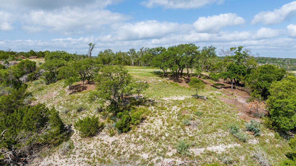 0 Doss-Spring Creek Road Doss, TX 78618 - Photo 12 of 18 a view of a bunch of trees